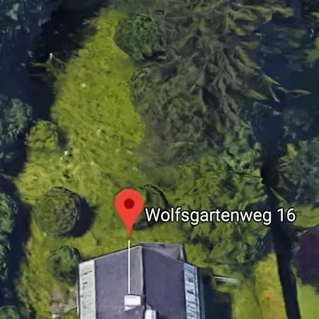 P *
